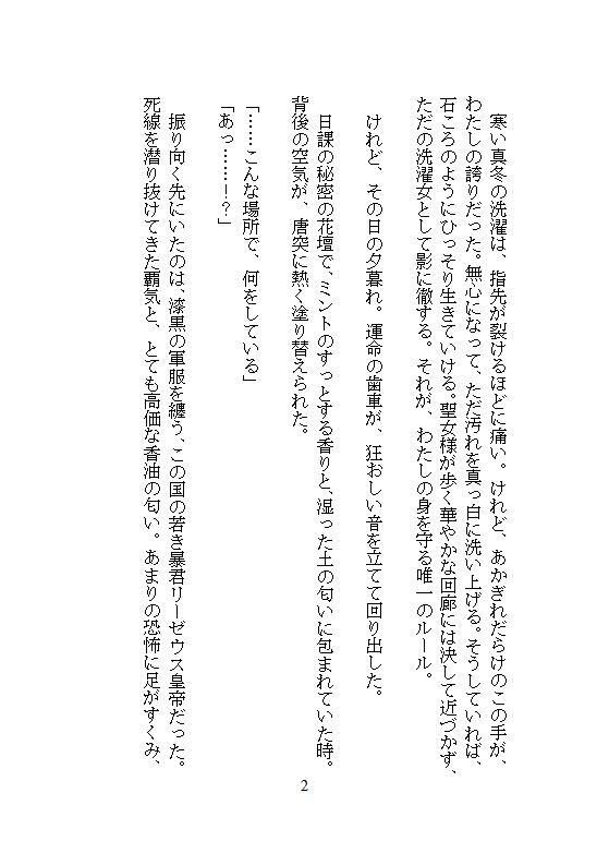 完璧に洗わなきゃ気が済まない地味な洗濯女ですが、皇帝に一晩で48回も連続絶頂を刻まれ、魔性の皇后に磨き上げられました。 画像2