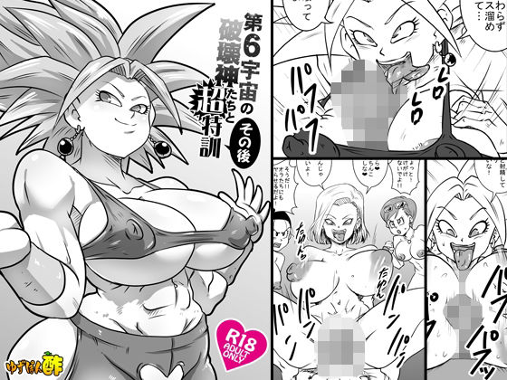 第6宇宙の破壊神たちと超特訓 その後のタイトル画像