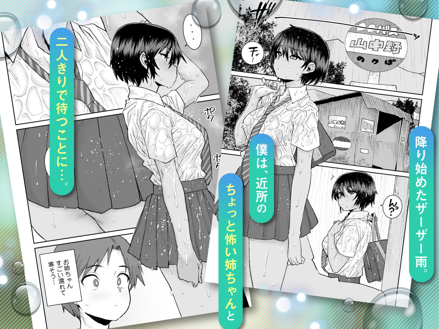 無口で気の強いボーイッシュなお姉ちゃんで僕は童貞を卒業しました 画像1