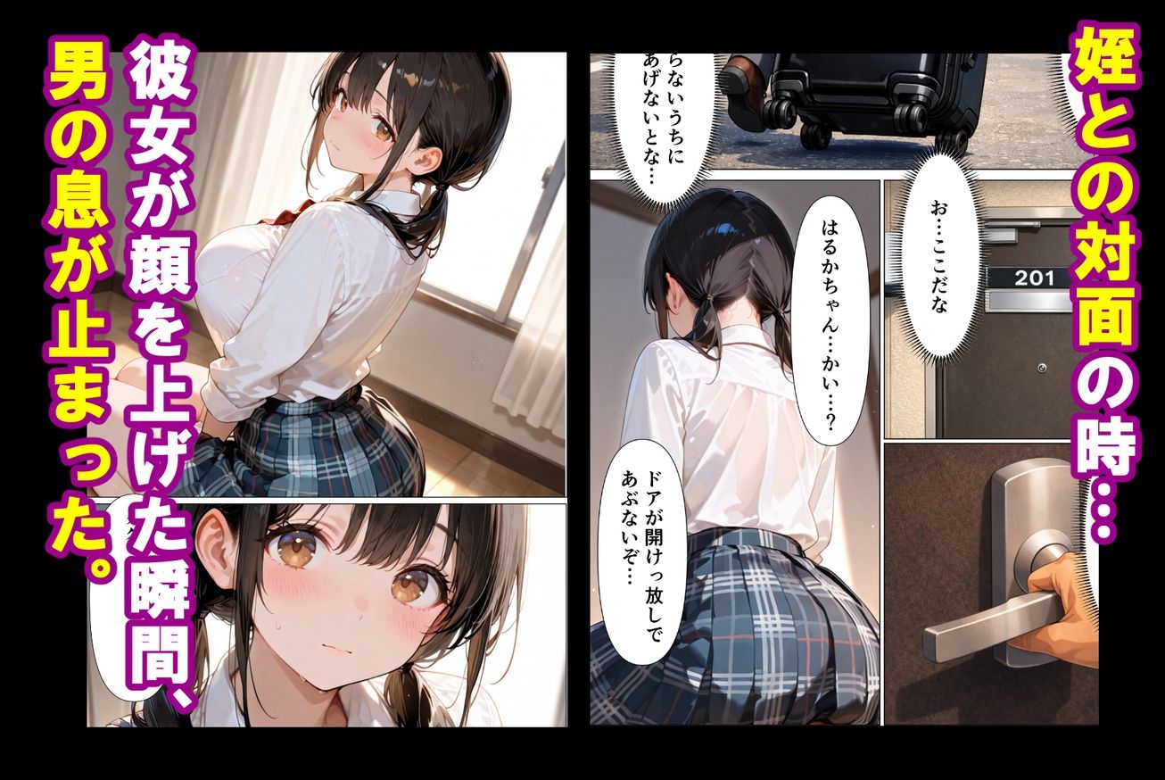 【無料エロ漫画】d_733871 実姉を奪い損ねた男が、姉にそっくりな姪に、執着の精子をどろどろと注ぎ込む話(満たし屋)