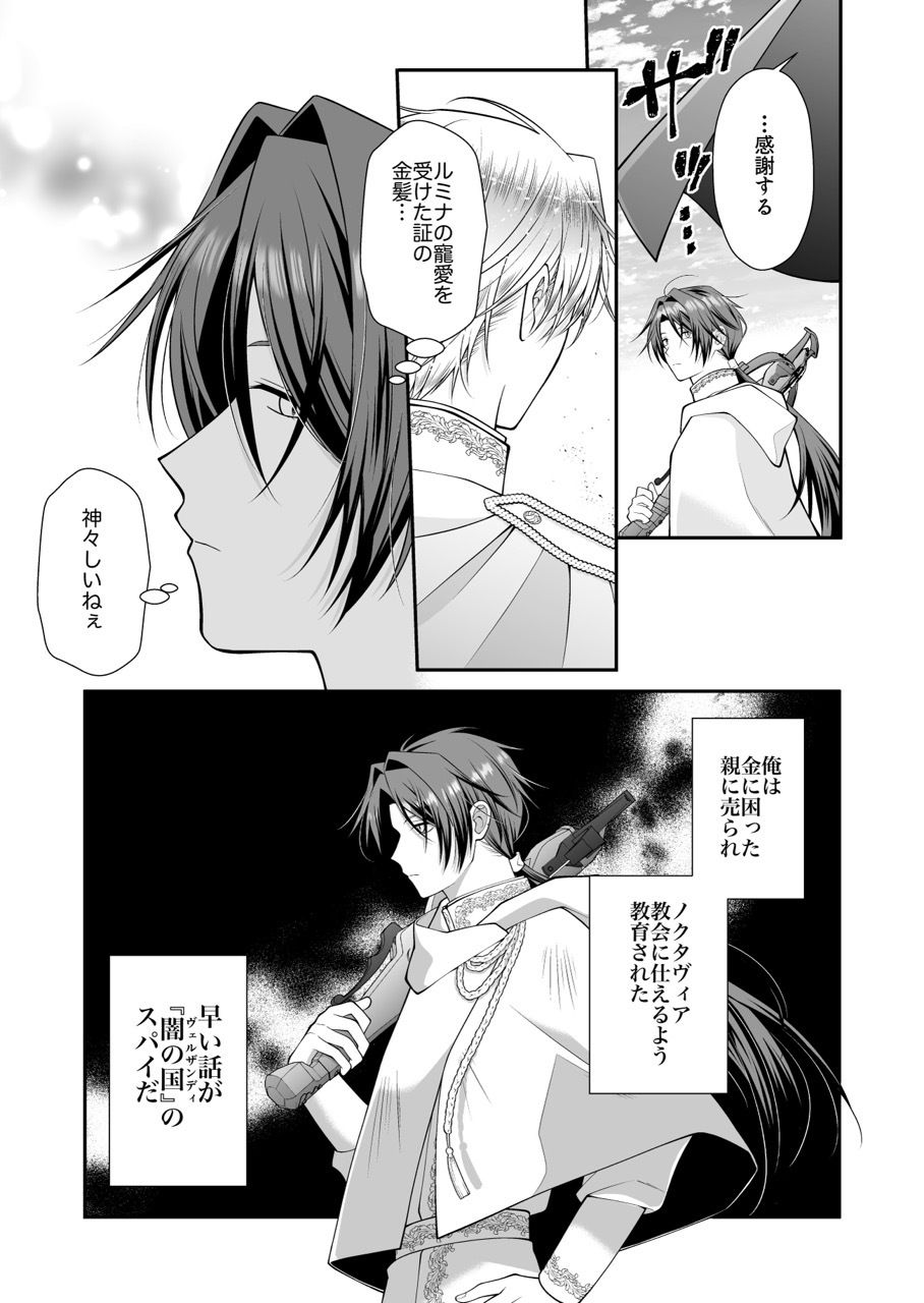 光の騎士を貶める サンプル2