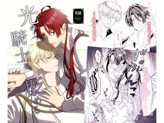 光の騎士を貶めるのタイトル画像