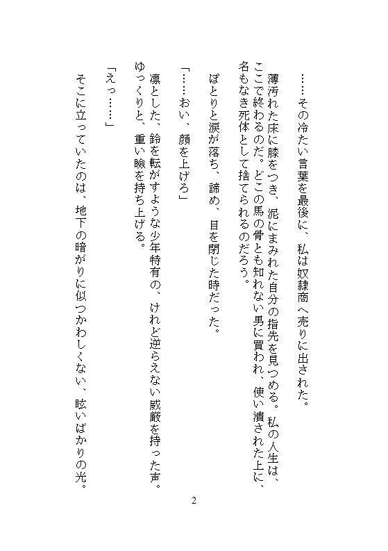 いらない子の私を拾ったのは、実験好きの第七皇子でした。〜特注器具でクリトリスを責められ、秘儀の書通りに連続絶頂させられています〜 サンプル8