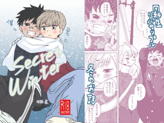 僕と君のSecretWinterのタイトル画像