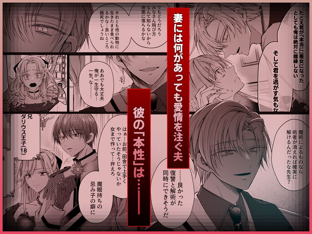 悪女になったので離縁を希望しても幼馴染ヤンデレ陛下は頷かない 8枚目