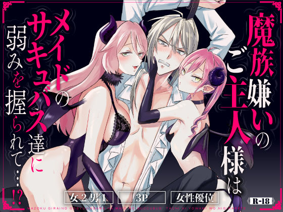 魔族嫌いのご主人様はメイドのサキュバス達に弱みを握られて…！？のタイトル画像