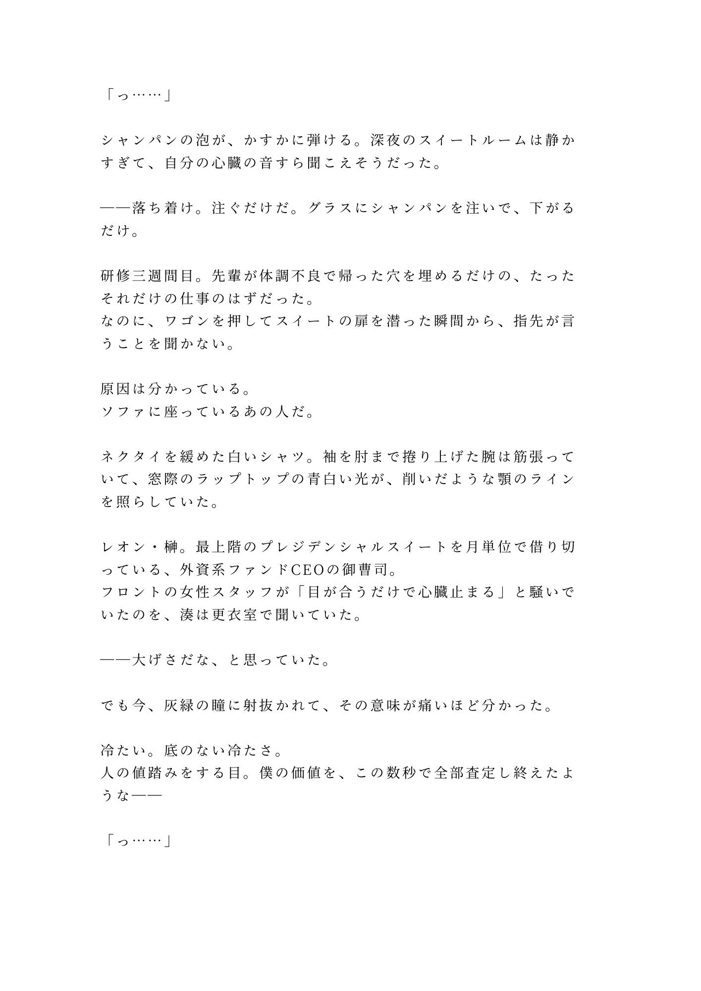 「弁償できるのか？」六本木最上階で御曹司にカントを暴かれたベルボーイが夜景の前で三回中出しされる話 サンプル2