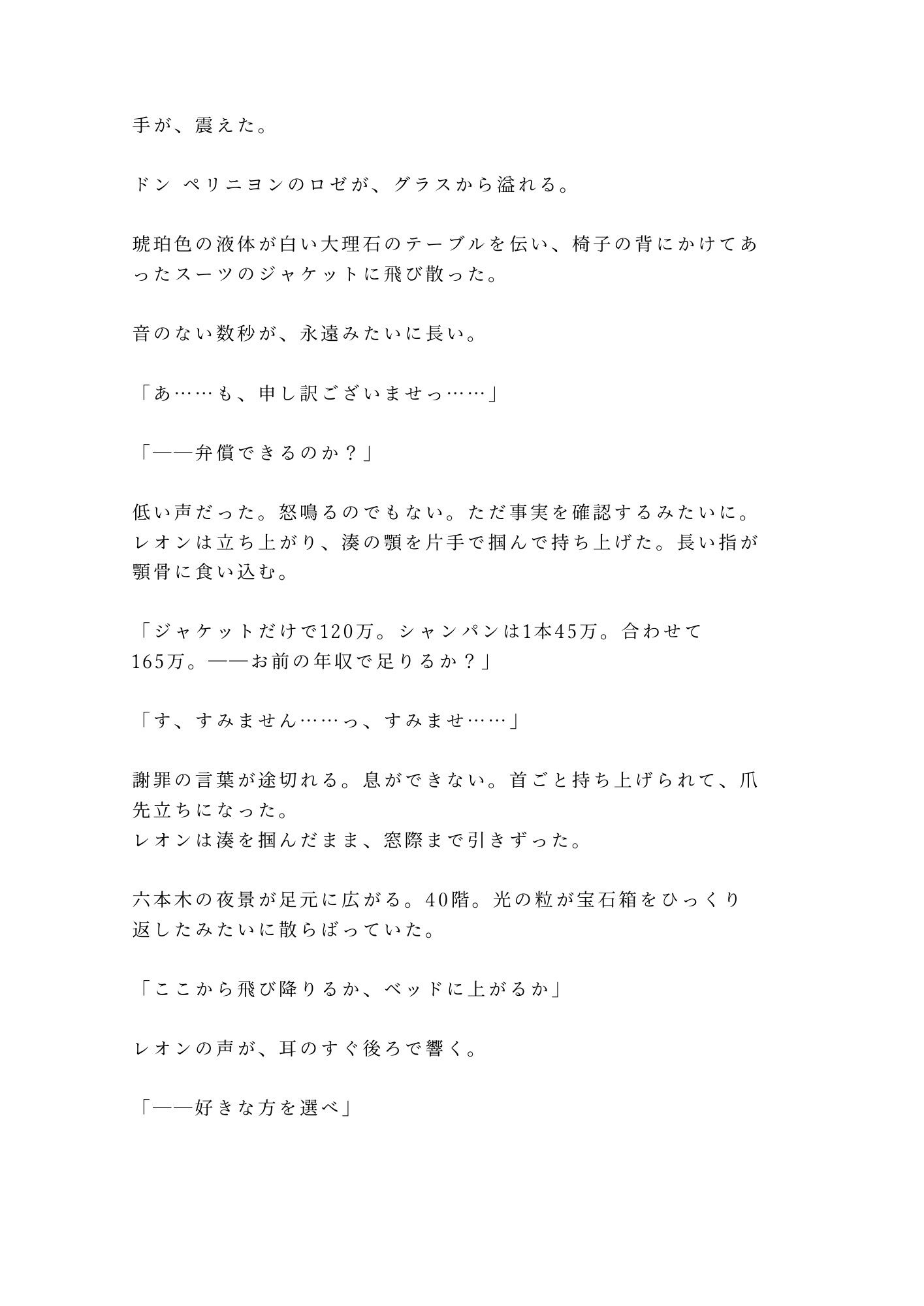 「弁償できるのか？」六本木最上階で御曹司にカントを暴かれたベルボーイが夜景の前で三回中出しされる話 サンプル3