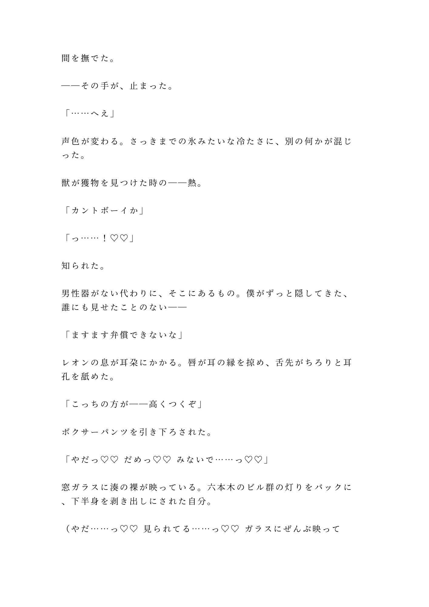 「弁償できるのか？」六本木最上階で御曹司にカントを暴かれたベルボーイが夜景の前で三回中出しされる話 サンプル5