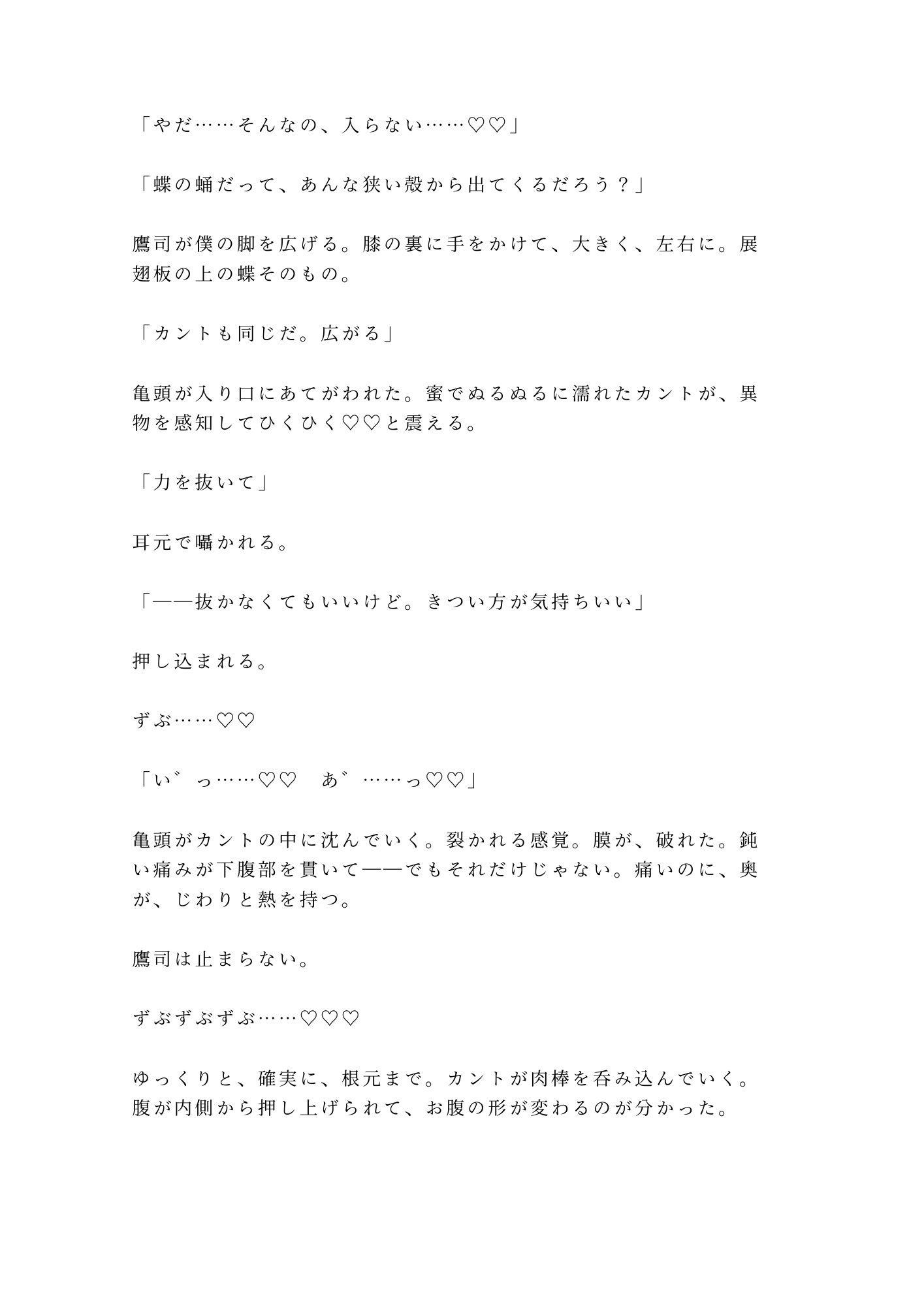 「動かないで」蝶の標本室で絹のリボンに四肢を広げられた大学院生が三回中出しされて最も美しいコレクションに堕とされる話 画像8