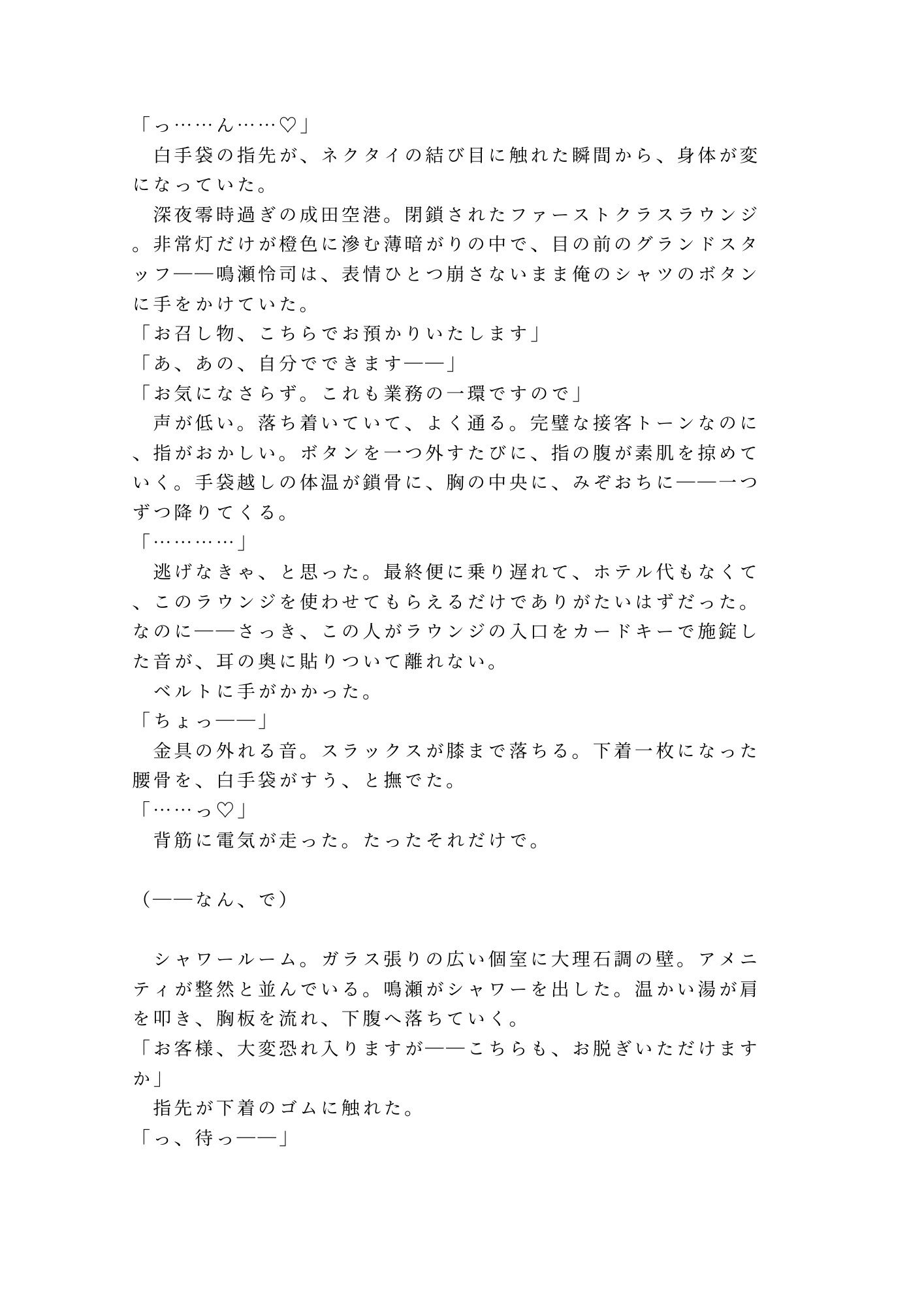 最終便は出ました――深夜の国際線ラウンジでグランドスタッフに敬語のまま四回中出しされたカントボーイが朝便まで壊される話 画像2