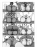 サンプル4