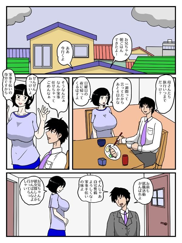 行き遅れの妹が玩具でオナニーしていたら 画像1