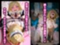 サンプル8