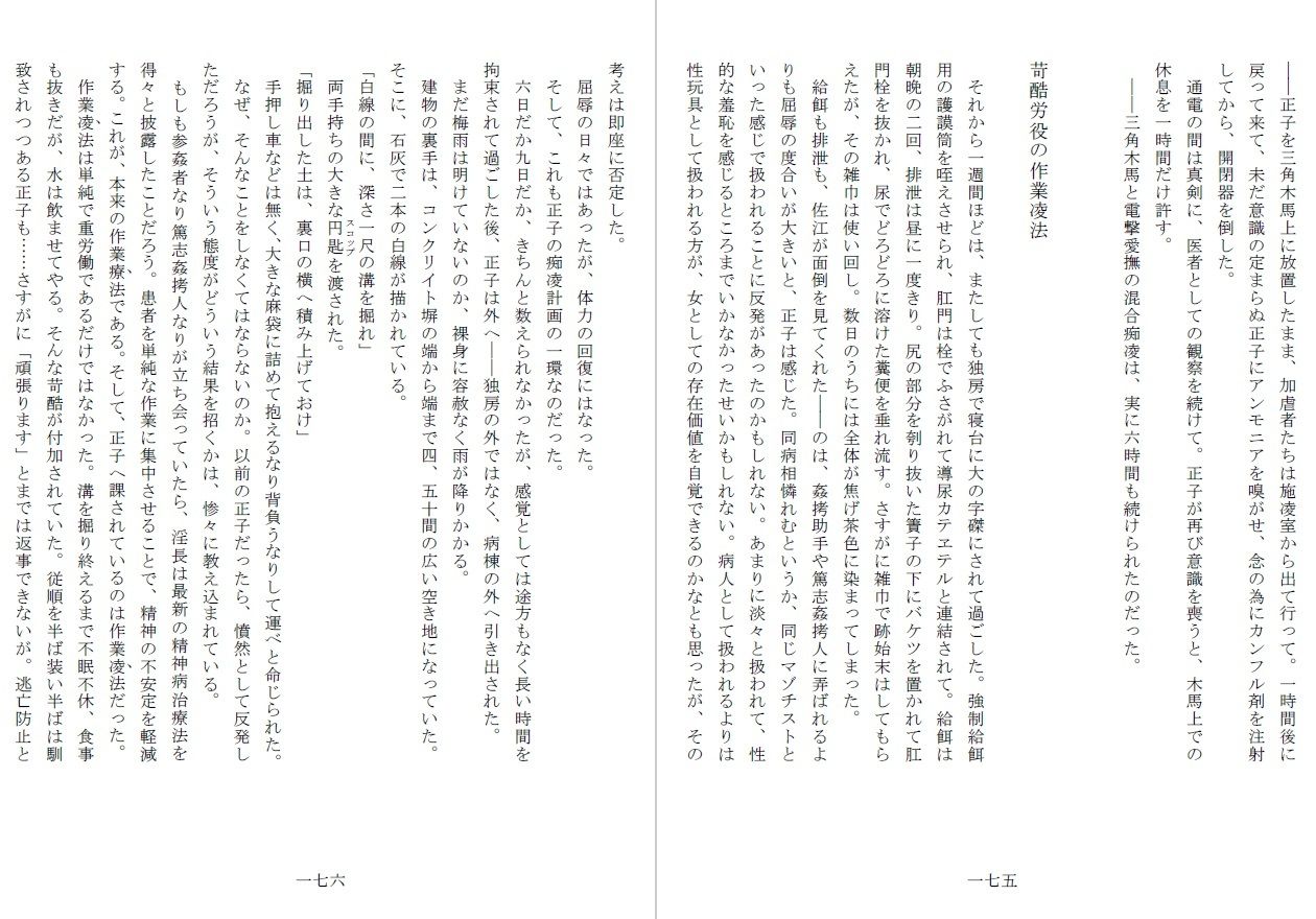 昭和隷淫記 贄花二輪  合気道娘の入淫痴凌篇 画像3