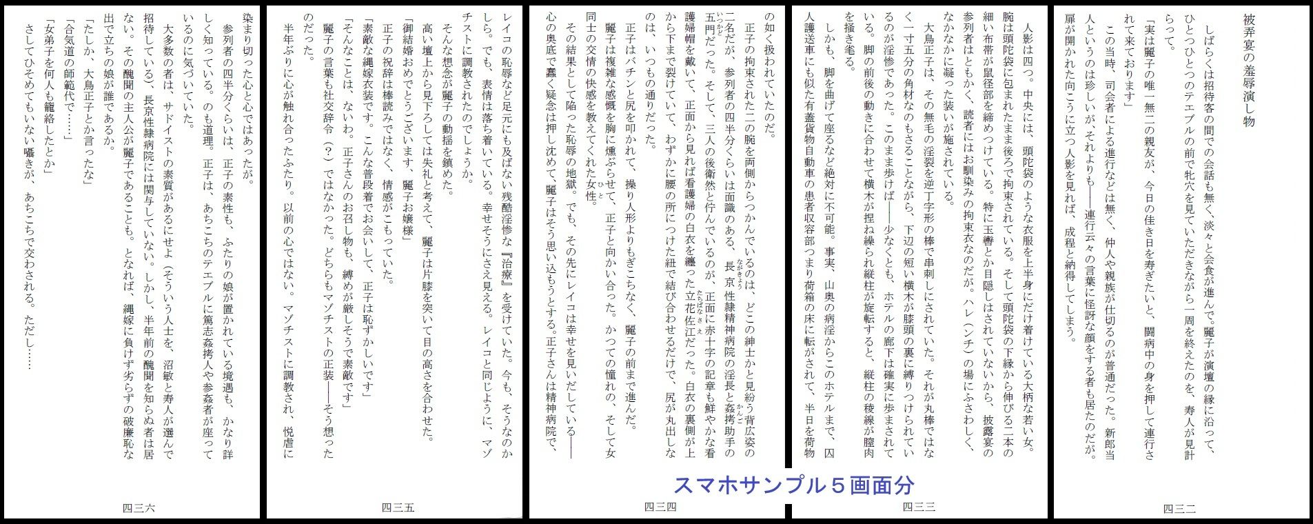 昭和隷淫記 贄花二輪  合気道娘の入淫痴凌篇 画像6