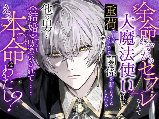 余命わずかのセフレなんて大魔法使い様の重荷でしかないので関係を断とうとした...のタイトル画像