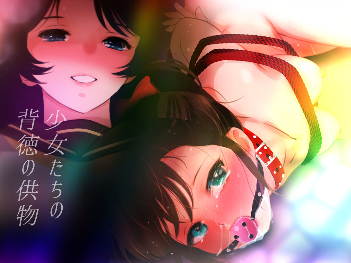 【完全版】エスカレーション0コンプリート:ミドリ調教の全記録 画像5