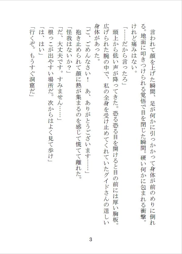護衛の冒険者を雇って街の外に出たらえっちな目に遭っちゃったけれど、最愛の恋人を手に入れました サンプル4