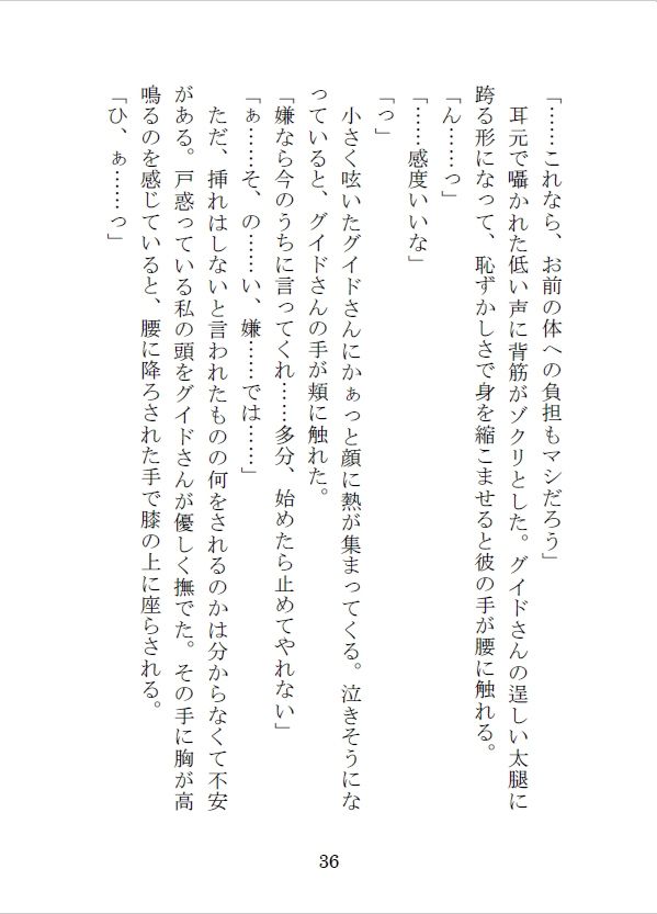 護衛の冒険者を雇って街の外に出たらえっちな目に遭っちゃったけれど、最愛の恋人を手に入れました サンプル5