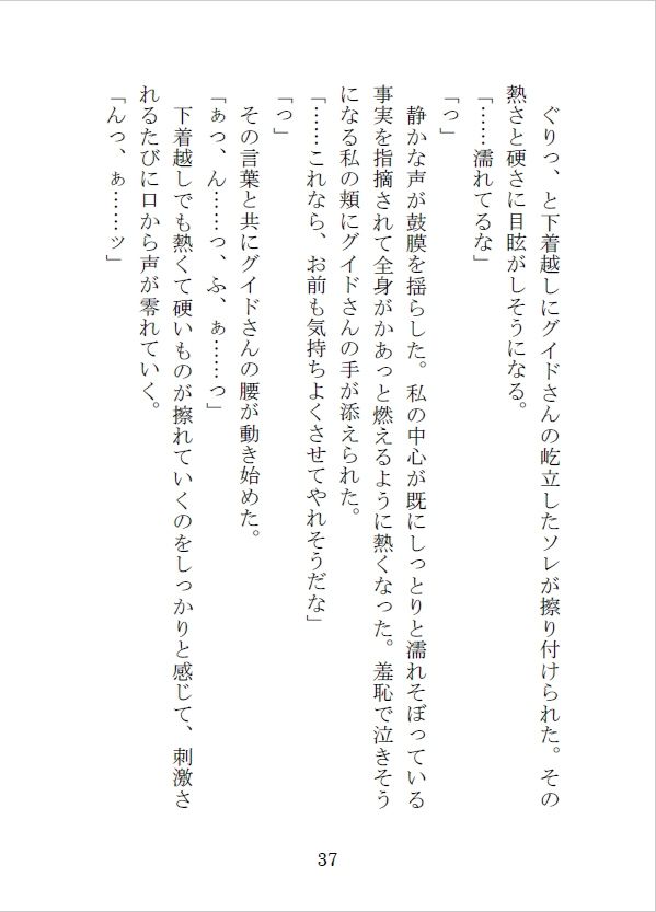 護衛の冒険者を雇って街の外に出たらえっちな目に遭っちゃったけれど、最愛の恋人を手に入れました サンプル6