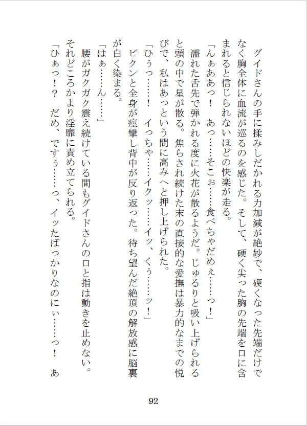護衛の冒険者を雇って街の外に出たらえっちな目に遭っちゃったけれど、最愛の恋人を手に入れました サンプル9