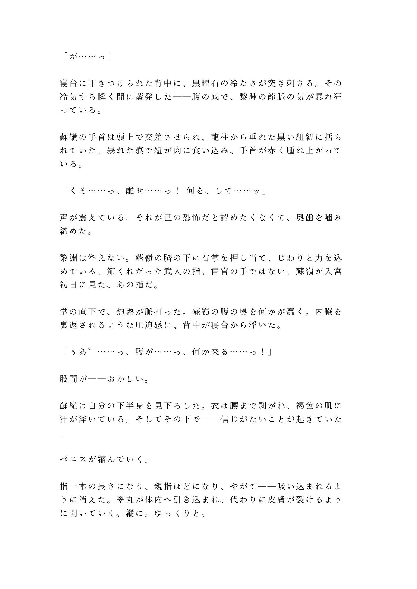 後宮に男として潜り込んだカントが皇帝直属の宦官長に初夜で暴かれ「去勢の必要がないな」と龍の寝台で飼われる話 2枚目