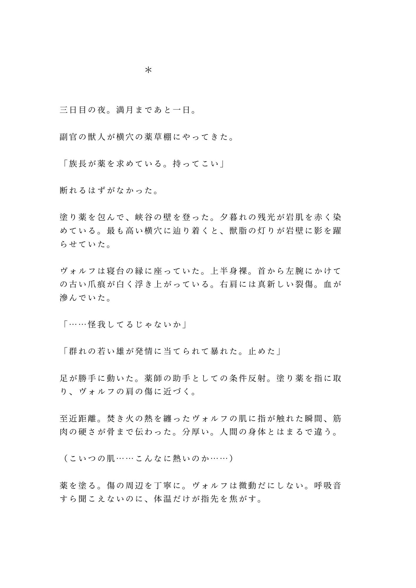 獣人の国に迷い込んだカントが狼のα族長に匂いで正体を見破られ「群れに入るか、俺の番になるか選べ」と満月の夜に迫られる話 画像6