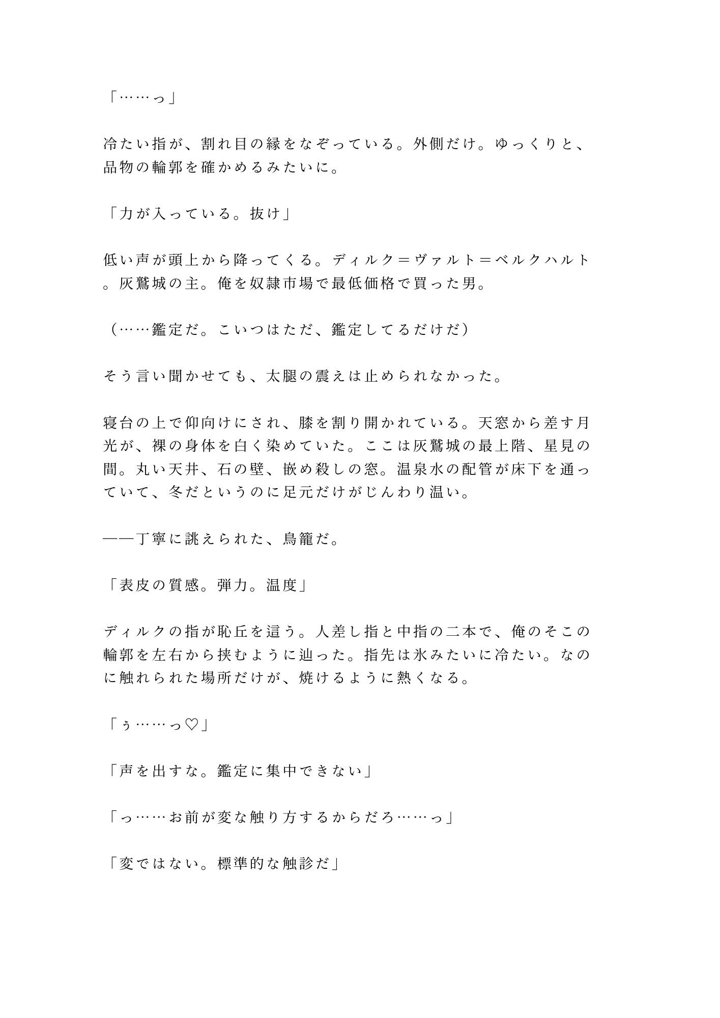 奴●市場で売れ残ったカントを買い取った辺境伯が「この身体の価値が分かるのは俺だけだ」と城の最上階に囲い込む話 画像2