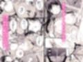 大好きな先輩の初めてを大嫌いな奴に全て奪われる話