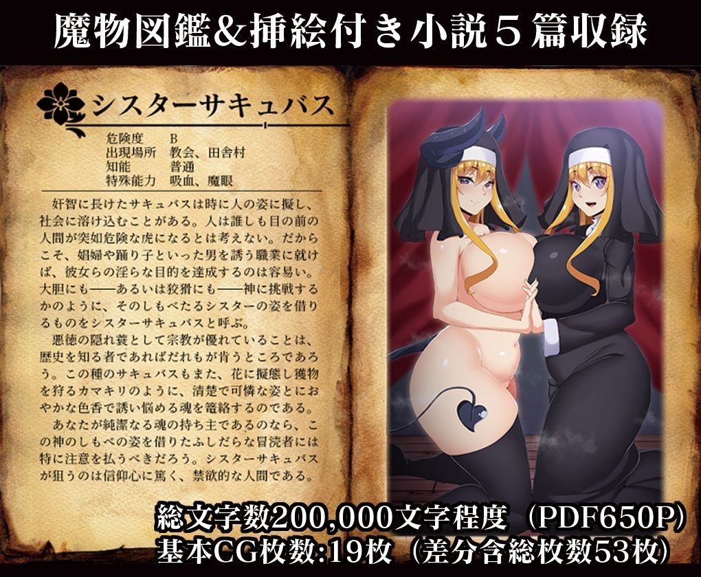 幻想世界魔物大全5 サキュバスIII 画像4