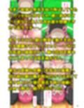 下半身は別の顏