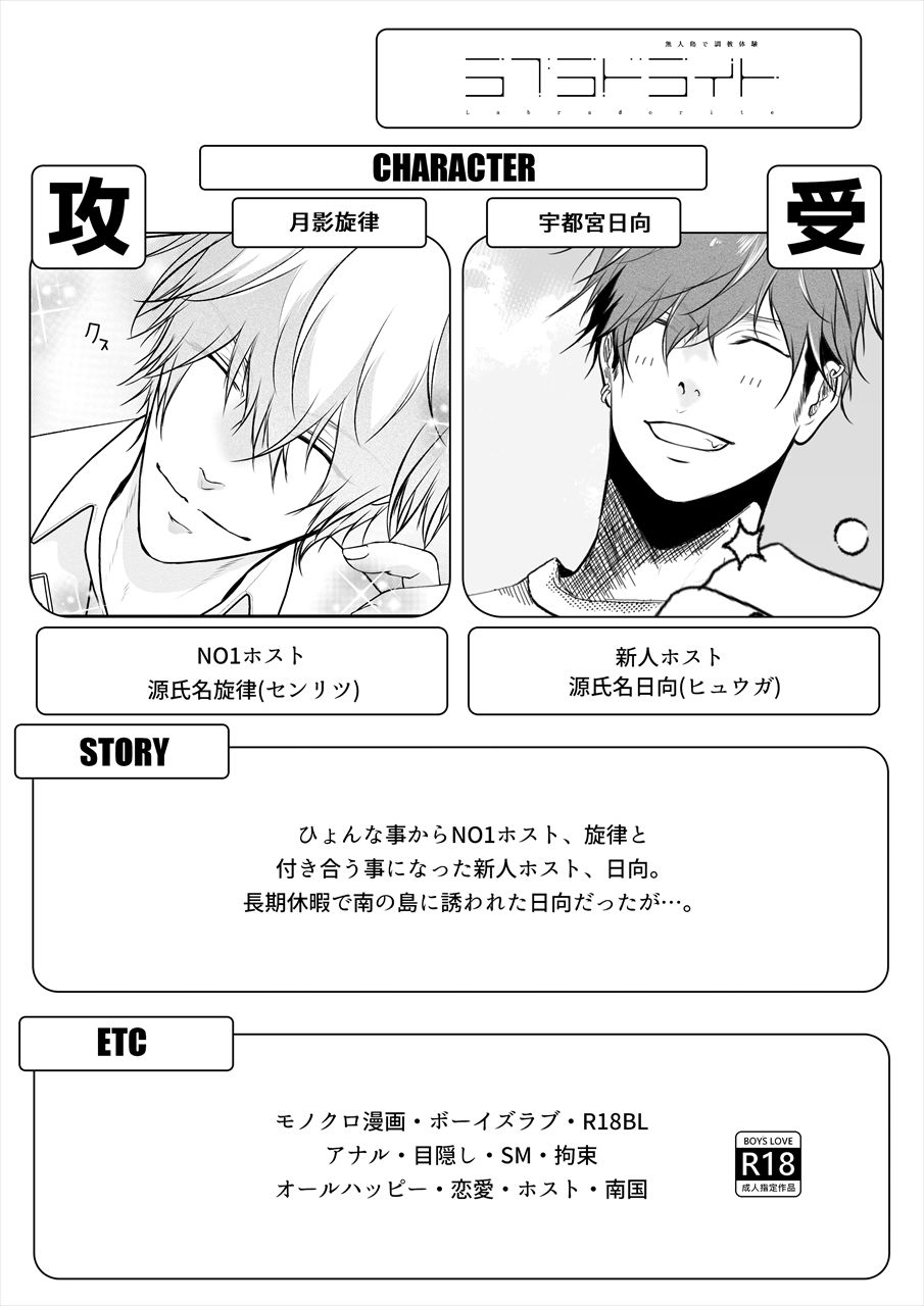 ラブラドライト サンプル2