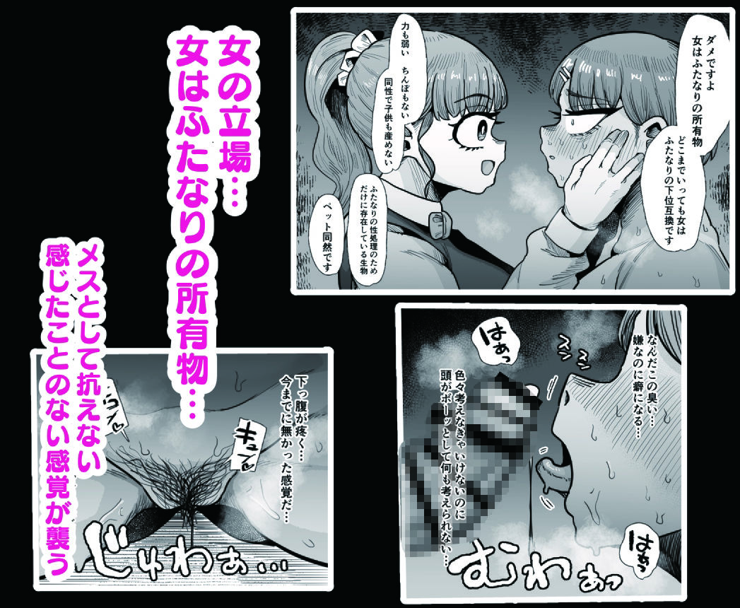 サンプル画像5:ふたなり学園の女がどういう扱いを受けるかあなたは知っていますか？(えびのインプラント) [d_740751]