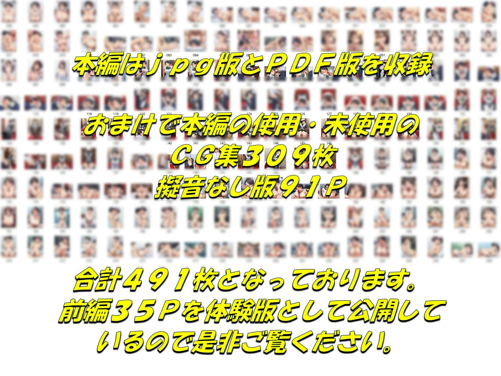 メイドで童貞卒業するよう言われたので昔から好きだった行き遅れ処女メイド長を寵愛して孕ませる話 画像10