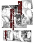 白薔薇伯母さんの秘めた、、、3話 再教育編