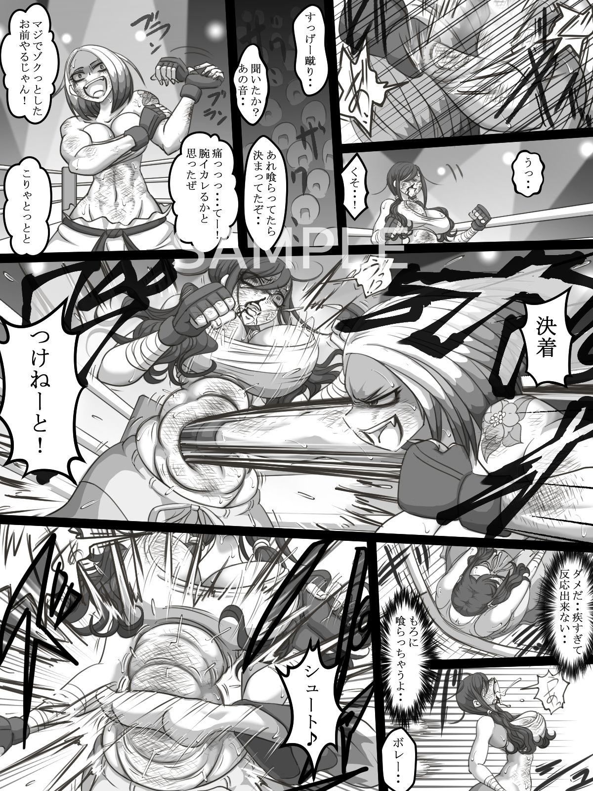 THE BATTLE OF SPITFIRE-sasanqua- volume1 画像4