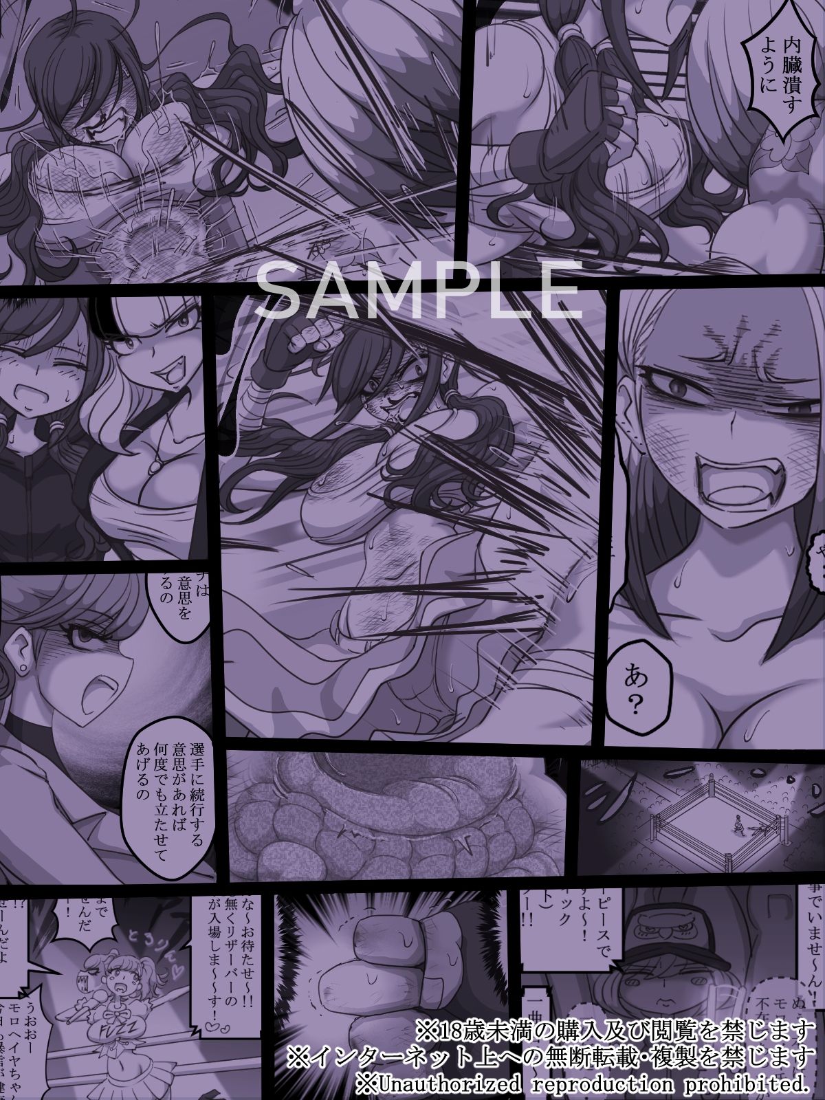 THE BATTLE OF SPITFIRE-sasanqua- volume1 画像7