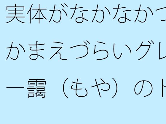 実体がなかなかつかまえづらいグレー靄（もや）のトンネルの中を  細微が問題になる