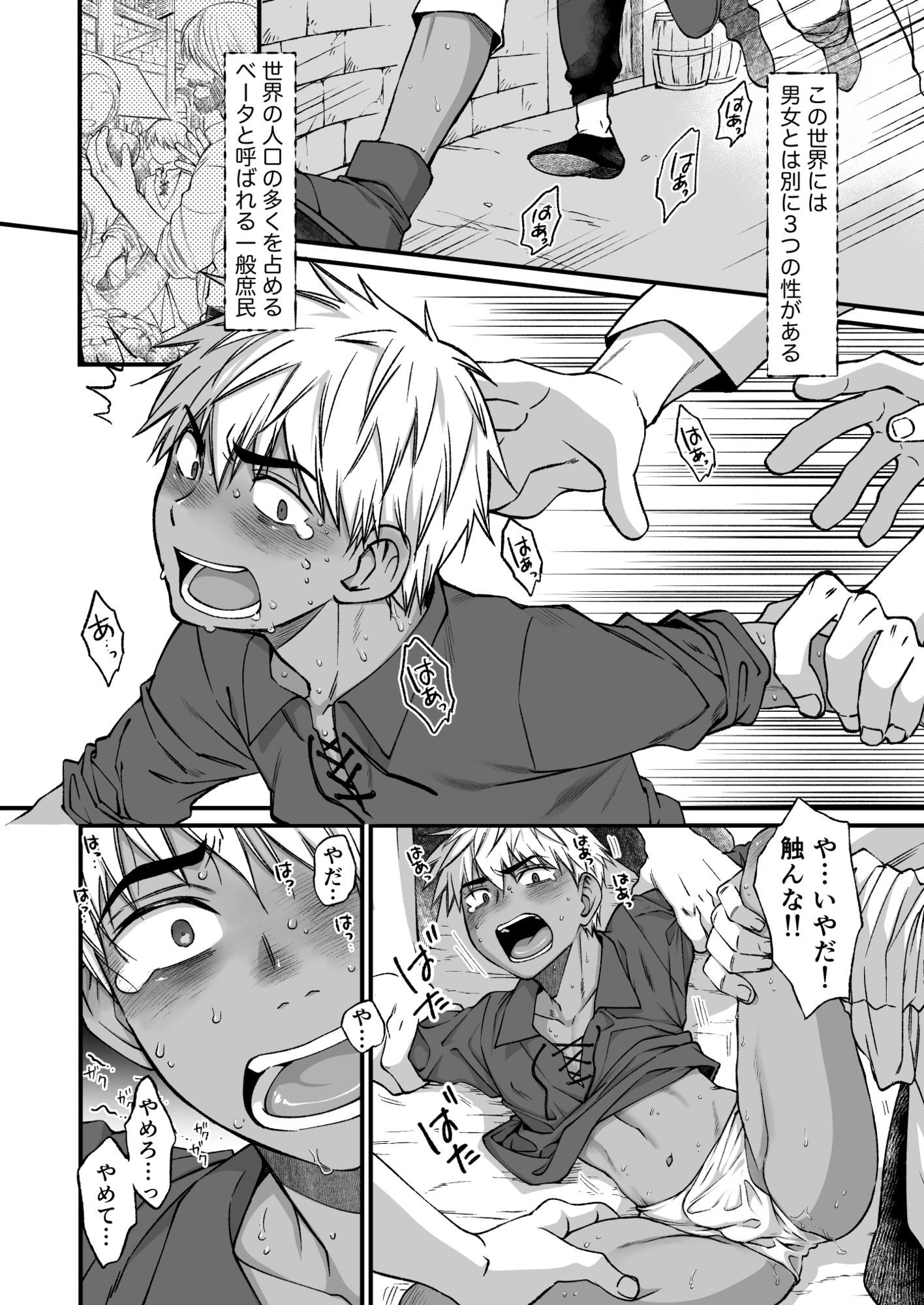 オメガとアルファの運命と激情に満ちた戦士たちの物語