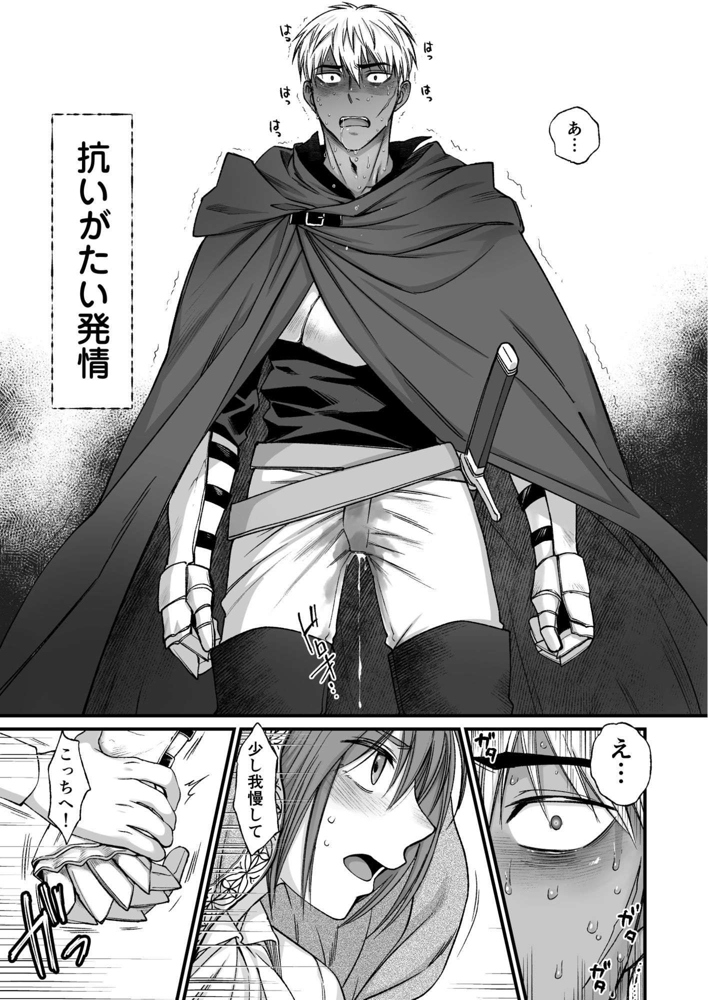 オメガとアルファの運命と激情に満ちた戦士たちの物語