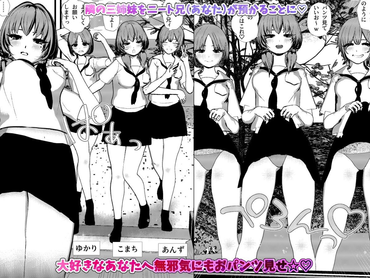 田舎町の3姉妹と主人公が繰り広げるハーレムSEXの3DCG作品