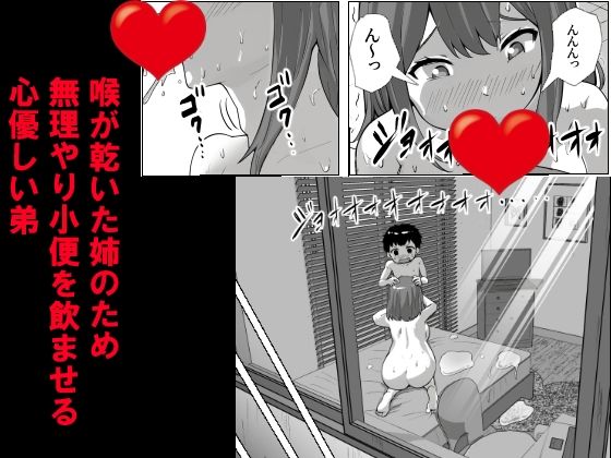 家庭内での性処理と葛藤がテーマの3DCGエロティック同人作品