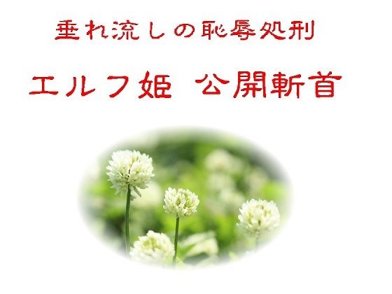 垂れ流しの恥辱処刑エルフ姫公開斬首のタイトル画像