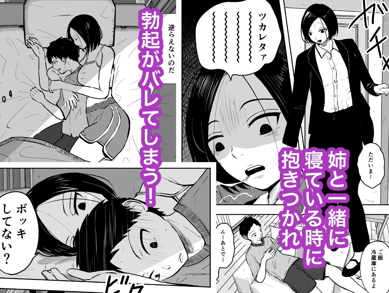 弟と姉の禁忌の恋愛シナリオが描かれるデジタルノベル