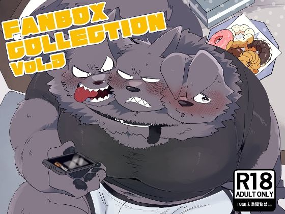 FANBOX COLLECTION Vol.3のタイトル画像