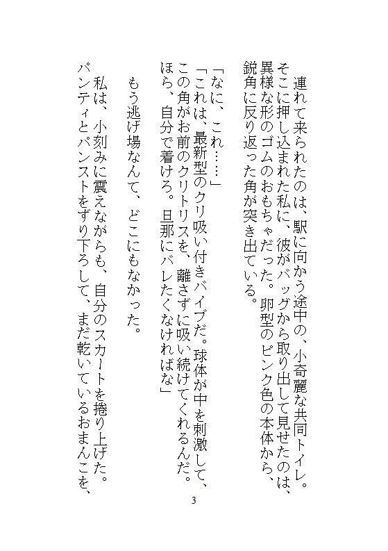 遠隔操作と拘束プレイを交え、義兄との禁忌の関係を描くデジタルノベル。