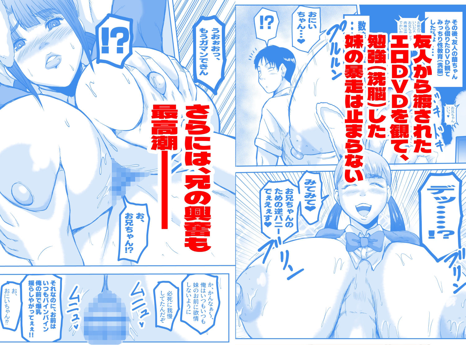 極度のブラコン娘と兄の禁忌の恋を描いたデジタルノベル