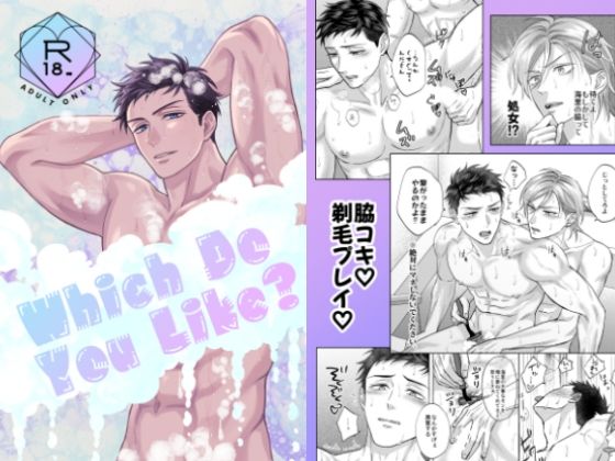 【商業番外編】Which Do You Like？のタイトル画像