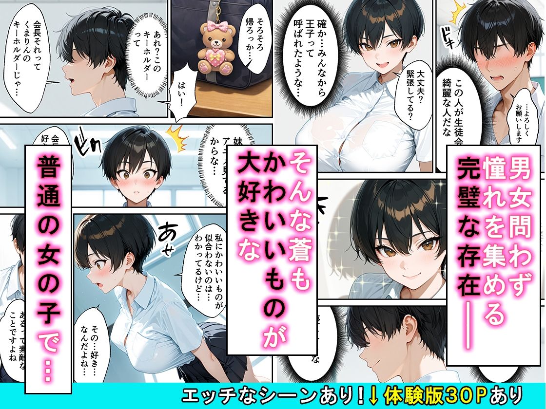 女の子扱いされたい王子様な生徒会長があまあま中出しセックスでメスになる話 画像2